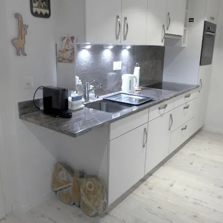 Studio Rue Des Moulins * איוורדון לה באן